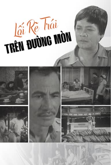 Lối Rẽ Trái Trên Đường Mòn