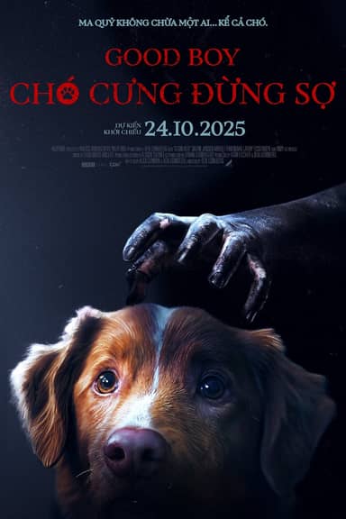 Chó Cưng Đừng Sợ