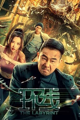 Vòng Lặp / Tuyến Đường Vòng